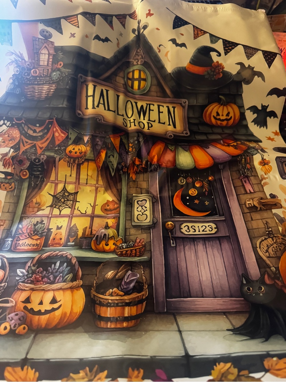 Halloween Shop Polymailers 19x24” - Set of 10